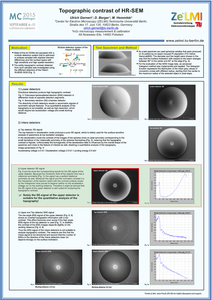 Poster "Topographic contrast of HR-SEM"